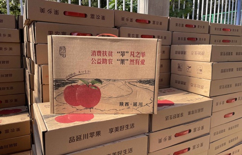 长龄液压“扶贫助农，振兴乡村”活动